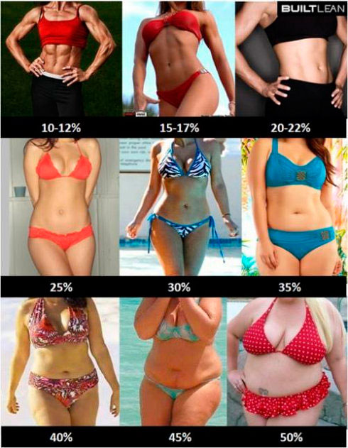 Процентное содержание жира в организме женщин разной полноты - фото